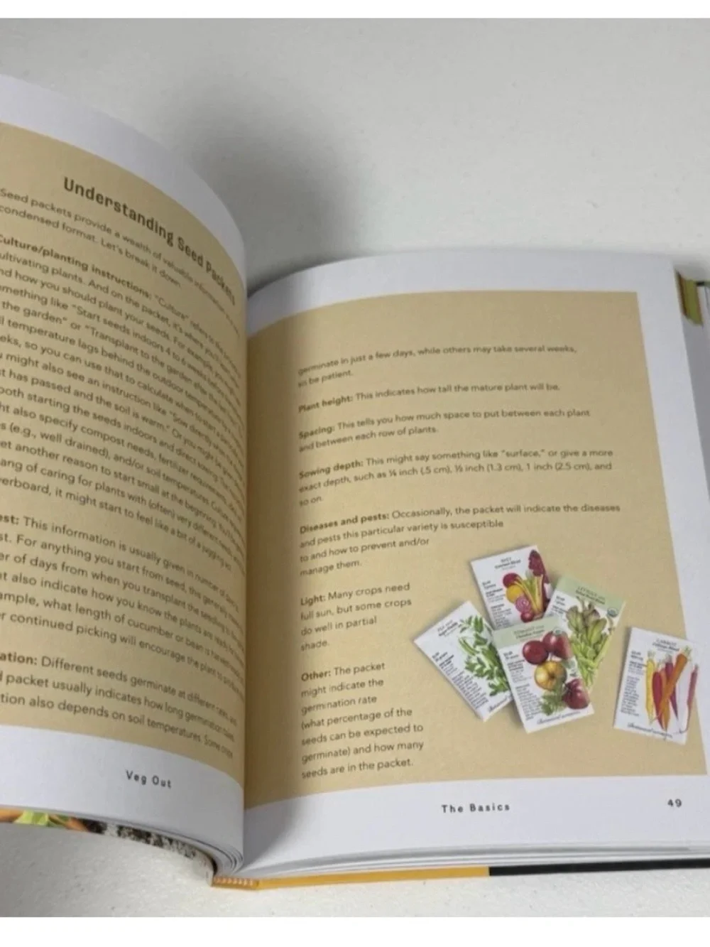 Veg Out; A Stress-Free Guide to Creating Your First Vegetable Garden